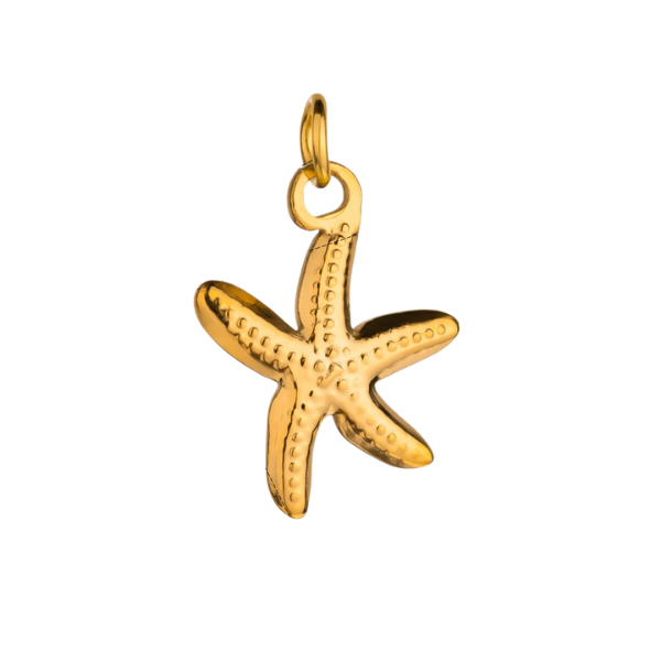 Charme étoile de mer gravée