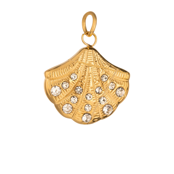 Charme de coquillage scintillant